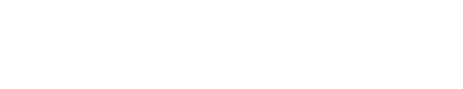 Flash Bike